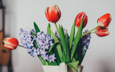 Unique Ideas for the Perfect Spring-Themed Funeral