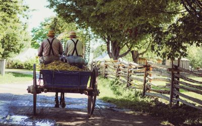 Cultural Spotlight: Amish Funeral Traditions