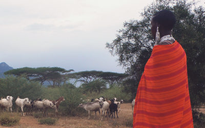 Cultural Spotlight: Maasai People of Kenya and Tanzania Funeral Traditions