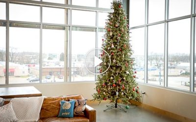 Happy Holidays from Frazer Consultants! [Video]