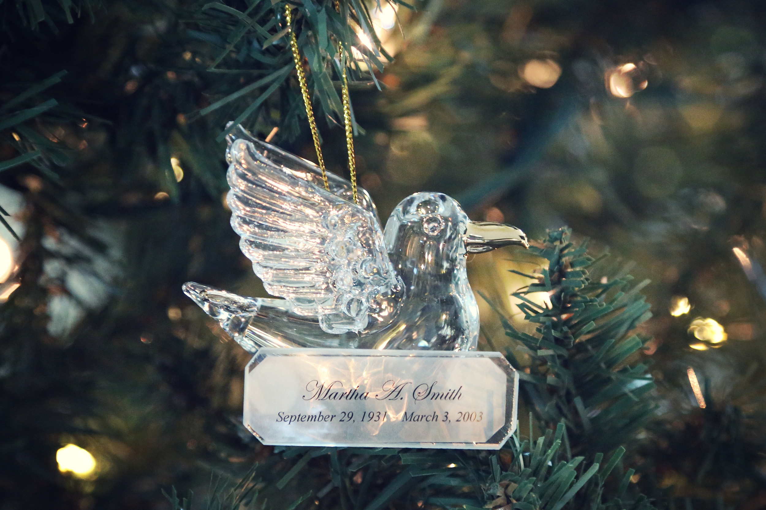 Ornament - Dove - Example