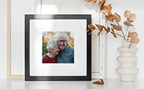 pictures and a plant