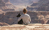 A Frazer Guide - Creating or Updating Your Funeral Home's Pet Memorial Services