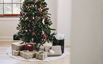 Media Kit - Holiday Remembrance Program
